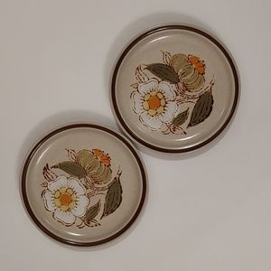 2 plates, 70s, International China, 2 salad plates, dessert, Avanti Floriana